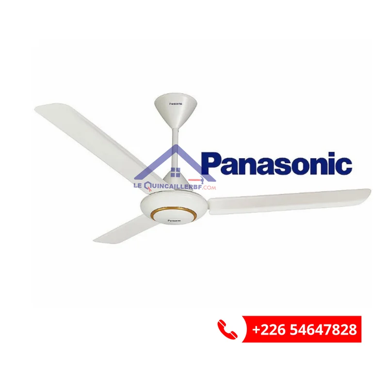 Brasseur PANASONIC 1er – Vente au Burkina Faso
